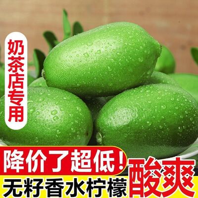 海南无籽香水柠檬新鲜正宗薄皮广东奶茶专用水果鲜果当季整箱批发