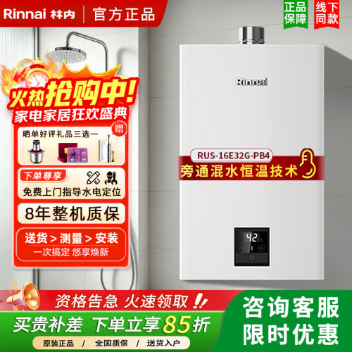林内强排恒温热水器抗风稳燃16升