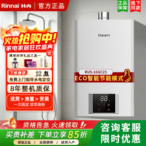 林内智能恒温16升强排式