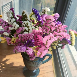 论斤卖勿忘我鲜花束可做干花花篮客厅摆设家庭装 饰品云南基地直发