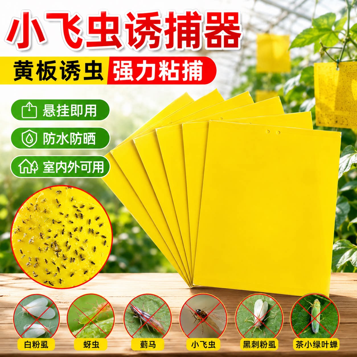 黄板双面强力粘虫板诱果蝇蚊
