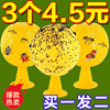 主图