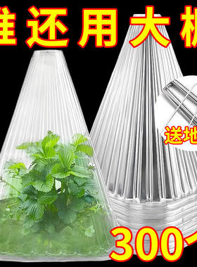 蔬菜育苗防虫防鸟保温防霜罩