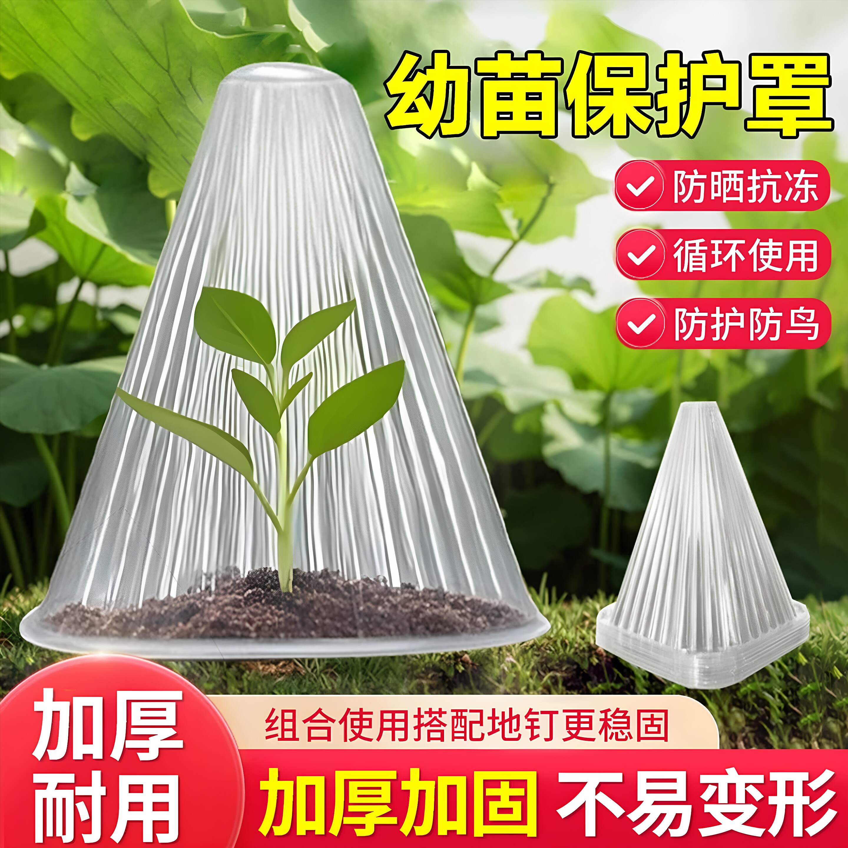 蔬菜植物罩瓜苗菜苗幼苗育苗秧苗大棚育苗保温防虫防鸟防霜保护罩