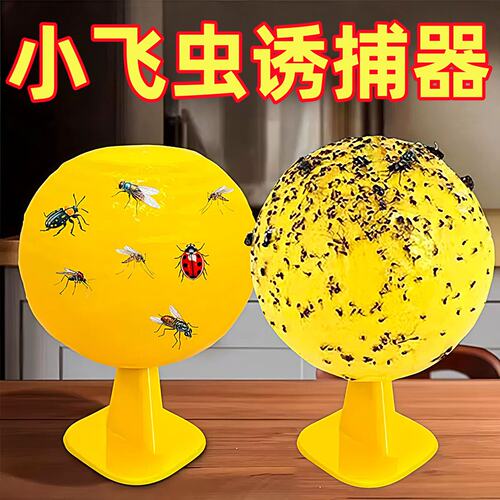 室内果蝇小飞虫诱捕粘虫球无毒