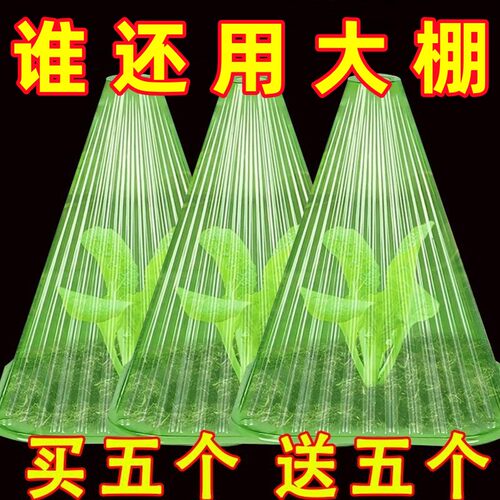 育苗保温罩方形可重复用防霜防鸟