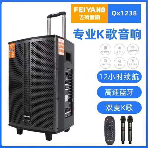 飞扬专业K歌音响大音量12寸广场