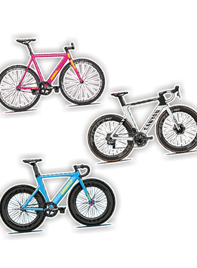 Arena pista Ardently  Canyon自行车图案反车贴定制贴纸6270