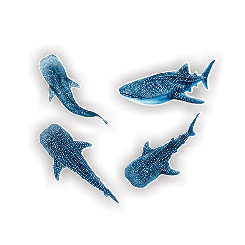 定制贴纸适用鲸鲨贴纸潜水贴纸防海水贴纸3M材质whale shark7953