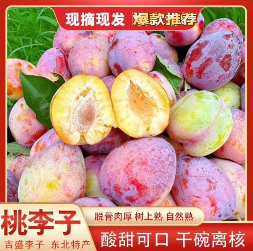 新鲜吉盛干核牛心李子吉林干碗桃李子东北特产水果一份5斤包邮