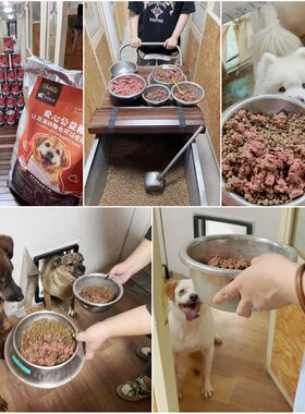 汪喵口粮 | 每一粒粮食都重要！