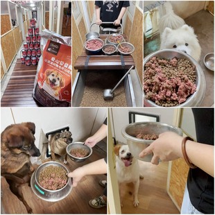 汪喵口粮 | 每一粒粮食都重要！