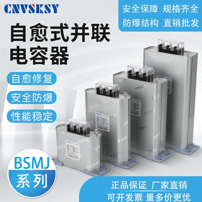 自愈式并联电容器0.45上海威斯康
