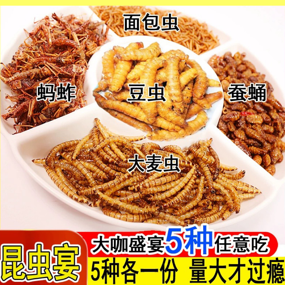 油炸昆虫蚂蚱即食蚕蛹新鲜蝗虫面包虫大麦虫豆虫套餐零食虫子美食
