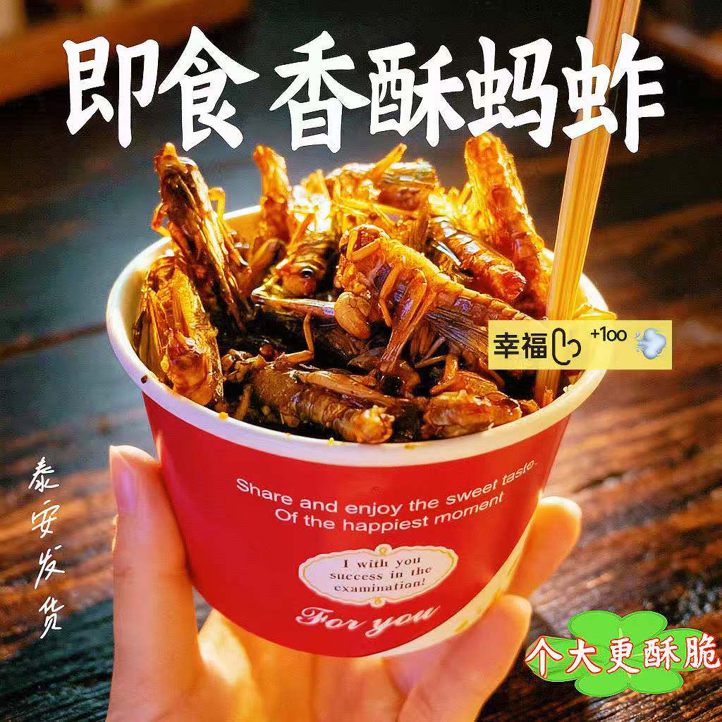 香酥脆蚂蚱油炸即食新鲜蝗虫食用昆虫炸虫子蚱蜢零食烧烤虫子美食