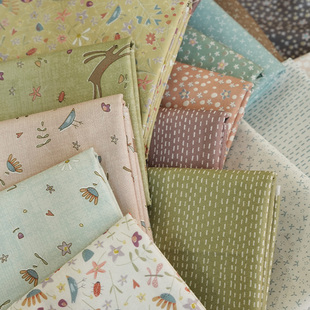 and Slow Steady拼布 downs新款 美国进口纯棉印花布料安妮anni