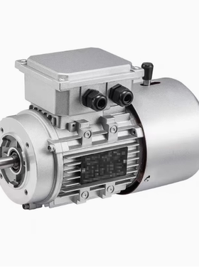 YEJ7116 7126 7136 8016 8026 90S 90L 100L 112M-6德力刹车电机