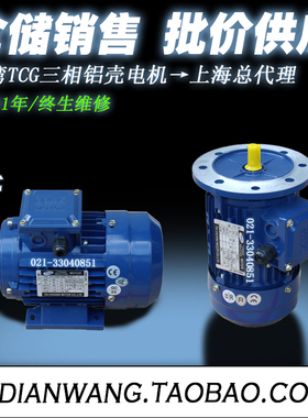 GS  YS7116 7126 8016 8026 90S 90L 100L-6 台创TCG国标电机现货
