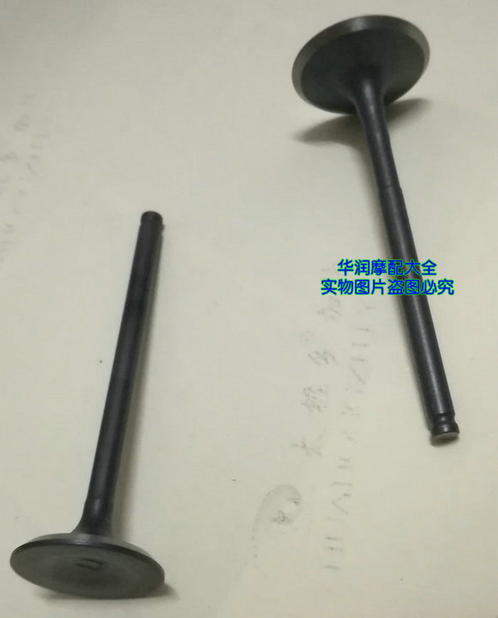 适用新大洲本田摩托车战龙150SDH150-15-19进气门排气门 气门组合