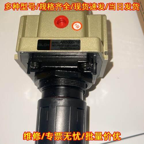 AR5000-10 BLCH气动调节阀 气源减压控制阀 工业气动元件议价维修