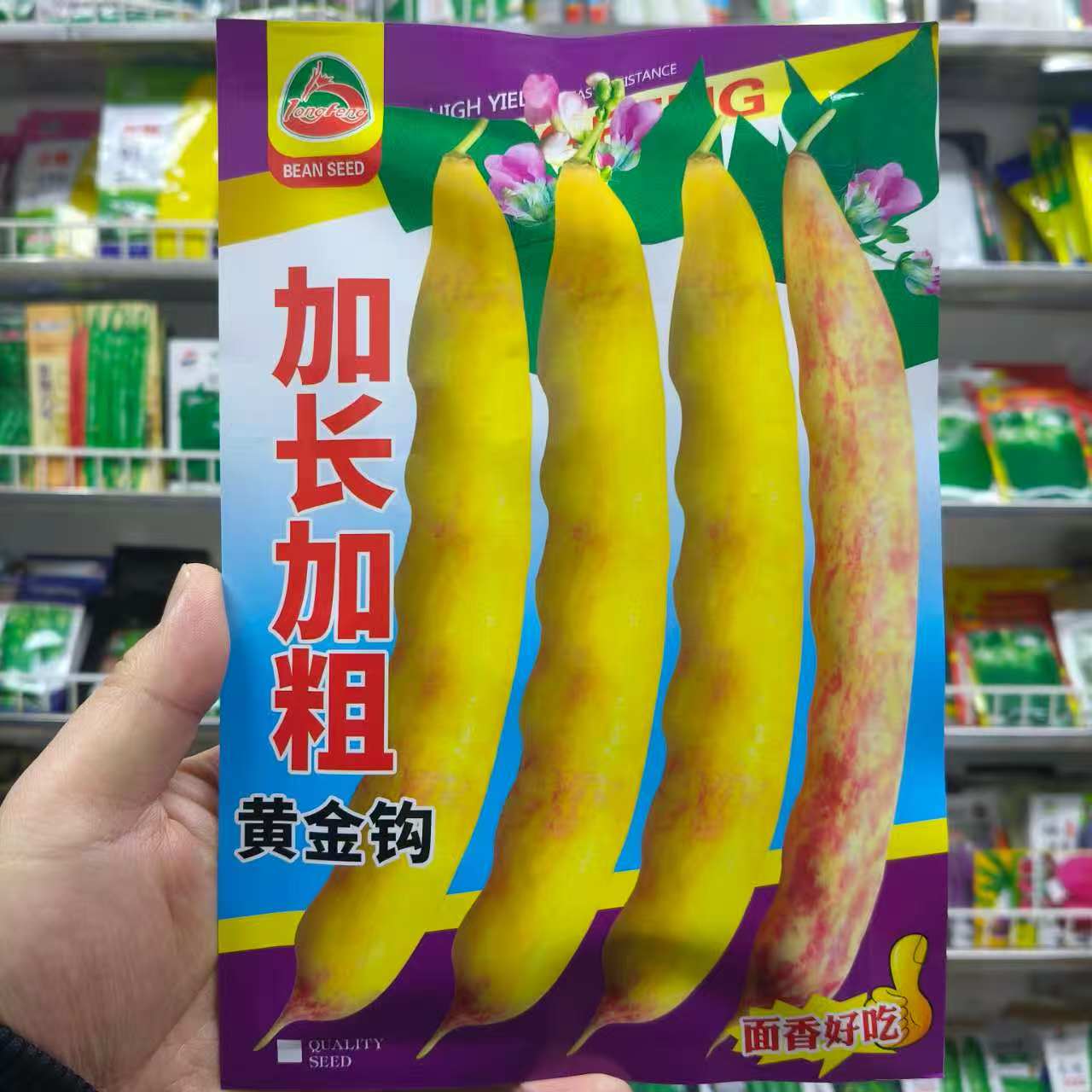 东北豆角种子籽加长加粗黄金钩面豆无筋勾勾黄搭架豆角种子100克