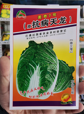 东北大白菜种子抗病天龙棵大心实腌酸菜冬储用50克美奇7