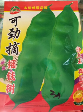 东北蔬菜种子可劲摘摇钱树油豆角种子架豆搭架豆角大棚陆地150克