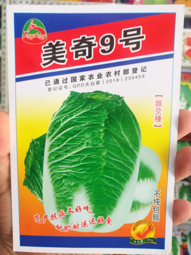 东北包芯冬储腌制50克大白菜