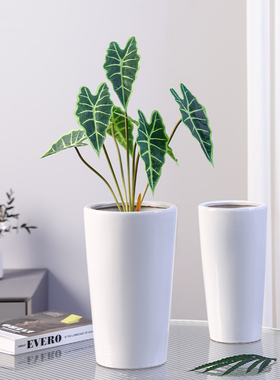 圆柱白色陶瓷花盆家用冬青花瓶落地兰花高款龟背竹虎皮兰茉莉蕙兰