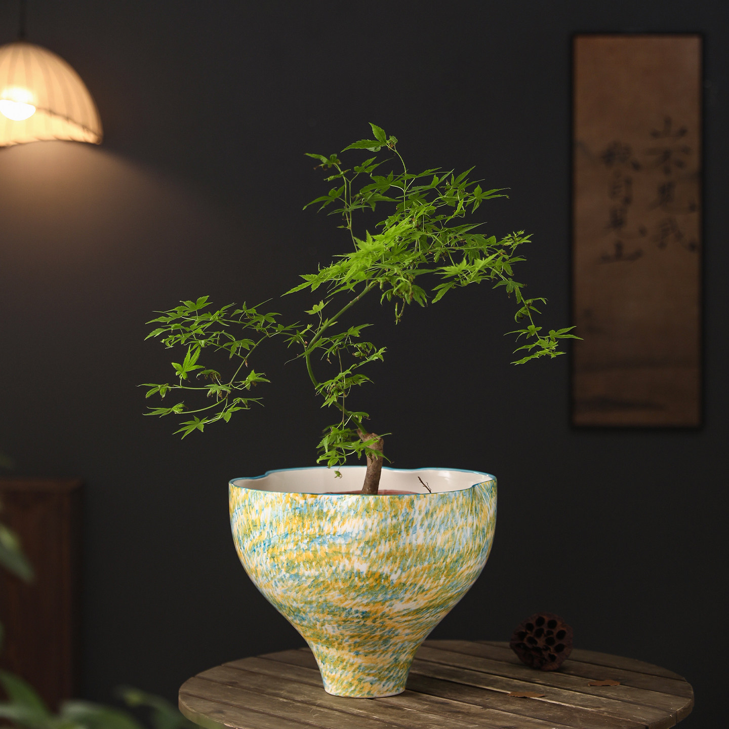 现代简约陶瓷花盆大口径轻奢高级家用桌面蝴蝶兰君子兰专用盆景盆