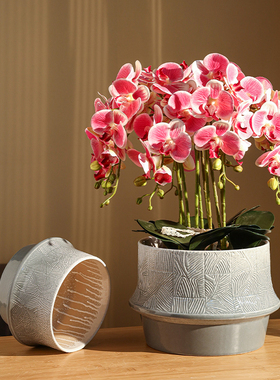 北欧风陶瓷花盆家用桌面摆放复古大号蝴蝶兰红掌兰花龟背竹专用盆