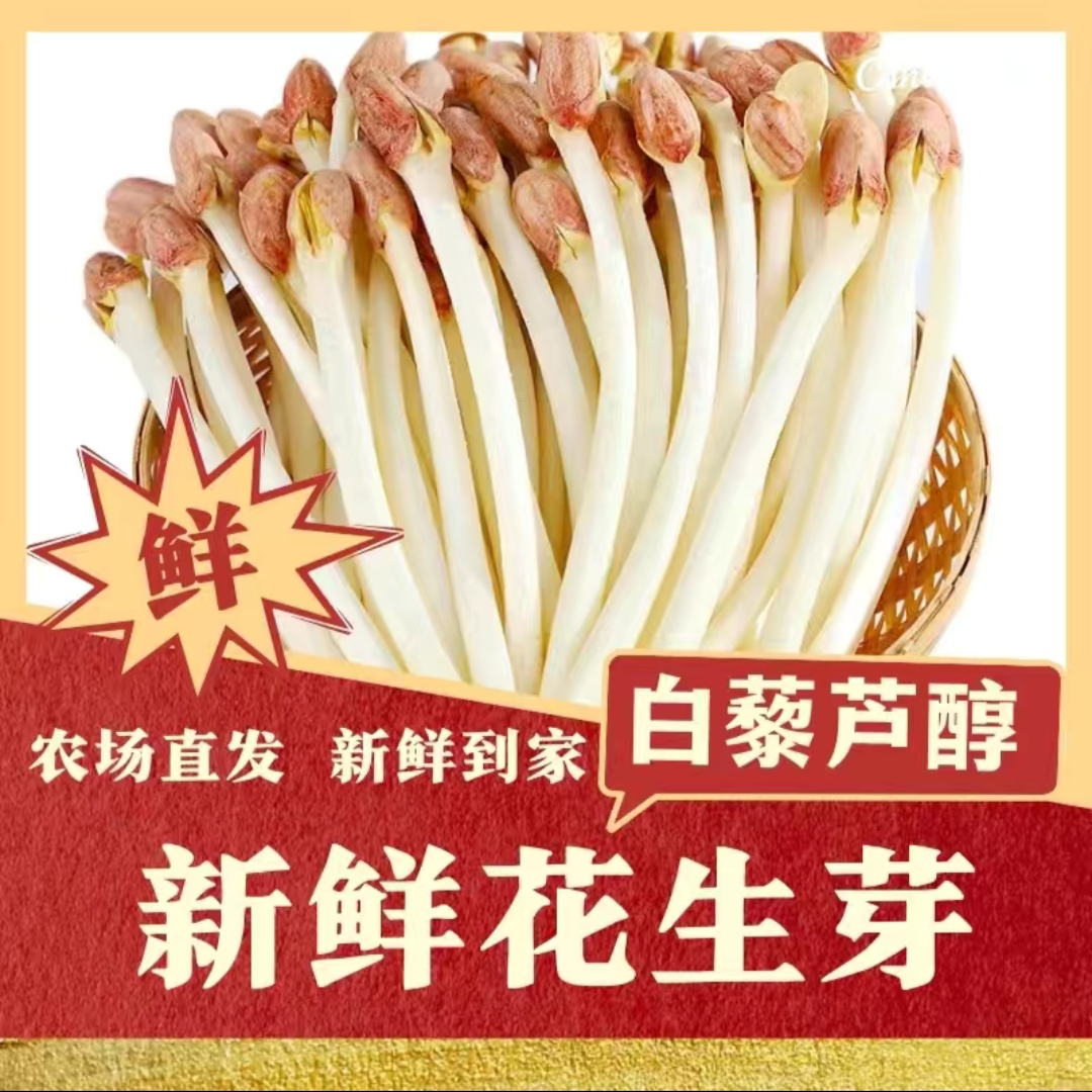 新鲜花生芽苗菜8斤花生豆芽现采新鲜蔬菜酒店饭店火锅麻辣烫食材