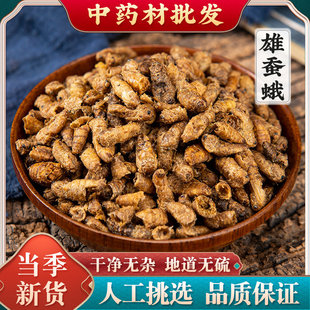 250g克手工选装天然雄蚕蛾公男性蛾子未交交尾可泡酒雄原蚕蛾粉饲