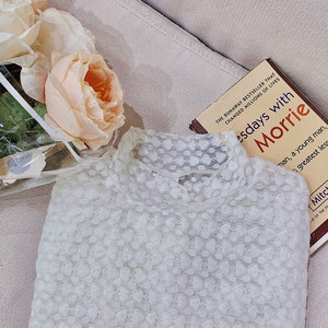 女打底衫时髦时尚洋气半高领价格 女打底衫时髦时尚洋气半高领图片 星期三