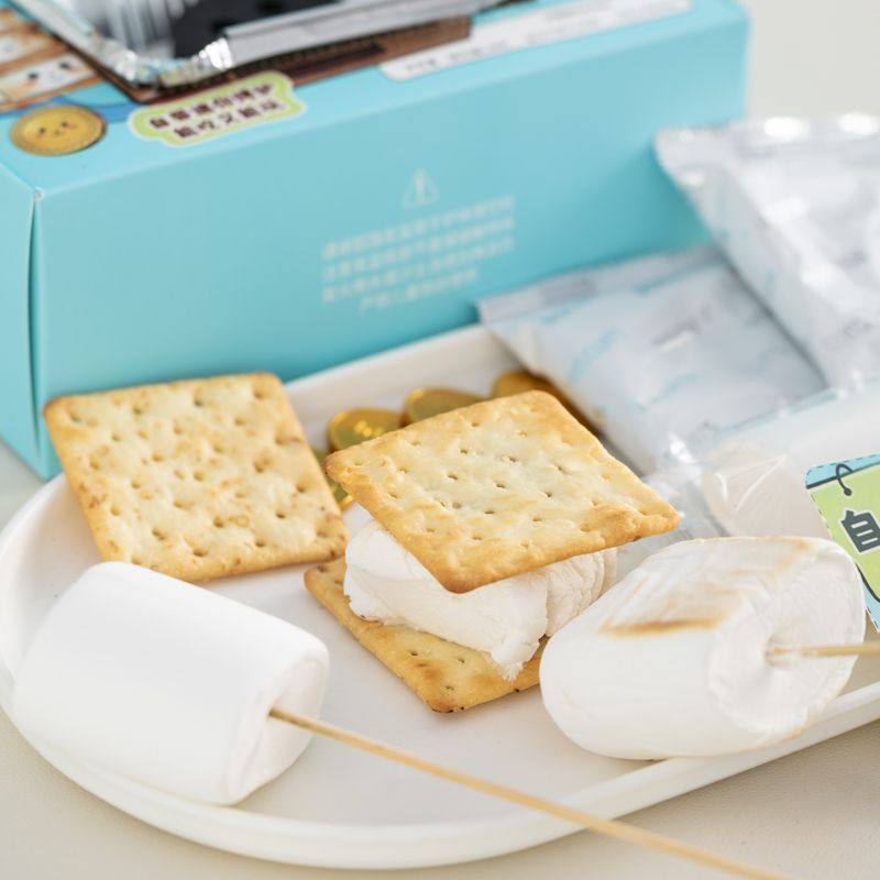 自嗨炉炭烤棉花糖礼物DIY烧烤棉花糖套装摆摊儿童学生趣味零食,零食/坚果/特产,传统糖果,淘宝优惠券,粉丝福利购,淘宝优惠卷