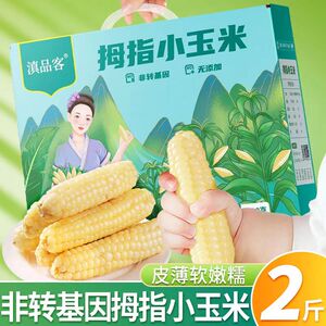 云南西双版纳香糯小玉米即食真空新鲜傣家甜糯玉米棒粗粮代餐