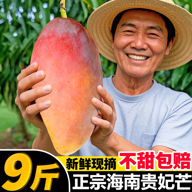 海南贵妃芒芒果新鲜10斤当季水果树上熟辣椒芒果整箱包邮大果正宗