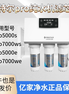 滨特尔纯水机PRO5000S/5000E/ROM7000WS/7000WE活性炭厨下式滤芯