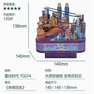 长江国际重庆时代未闻花名拼装八音盒diy音乐盒积木创意女孩礼物