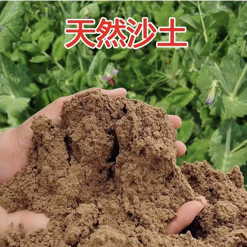 天然沙土沙壤土种菜养花盆栽花卉专用种植土细沙土壤通用田园土