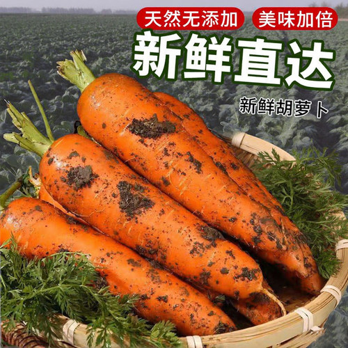 新疆新货糖心胡萝卜带泥箱装