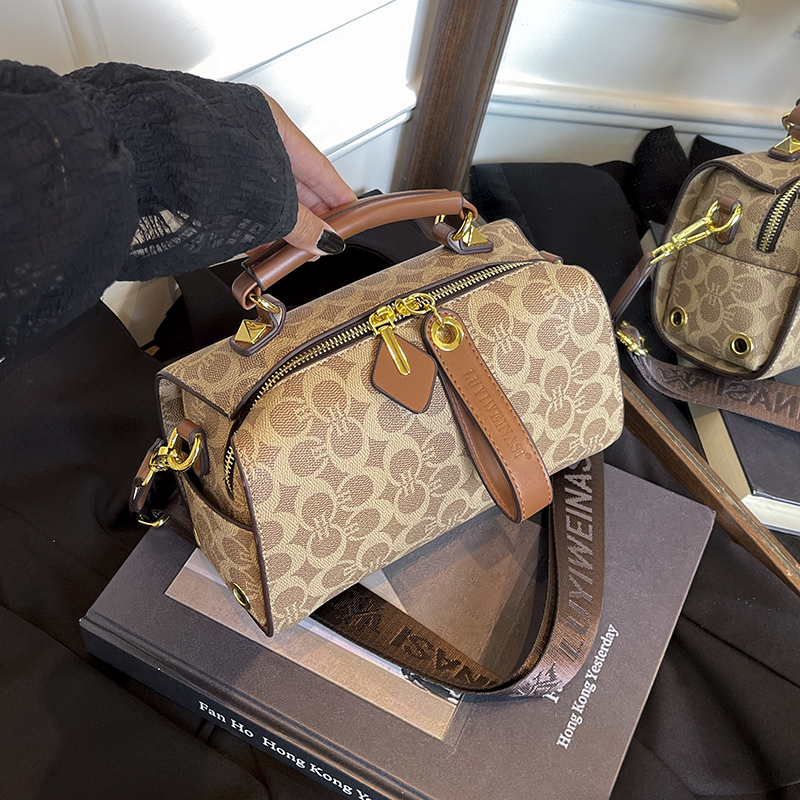 包包轻奢小众高级感枕头包新款时尚百搭复古手提单肩斜挎老花女包