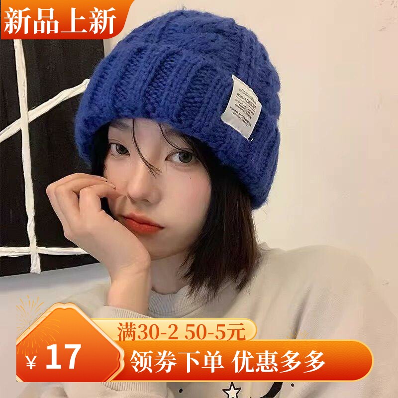 秋冬时尚针织帽女款韩版时尚麻花毛线帽保暖护耳多色可选休闲