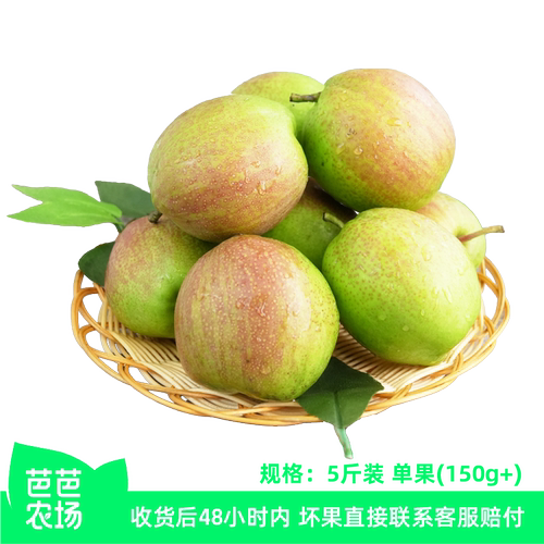 【芭芭农场】河北香梨5斤单果150g+