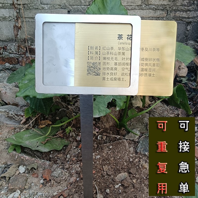 园林植物牌插地牌园n艺花草树木标牌不锈钢树牌定制立式树苗标识