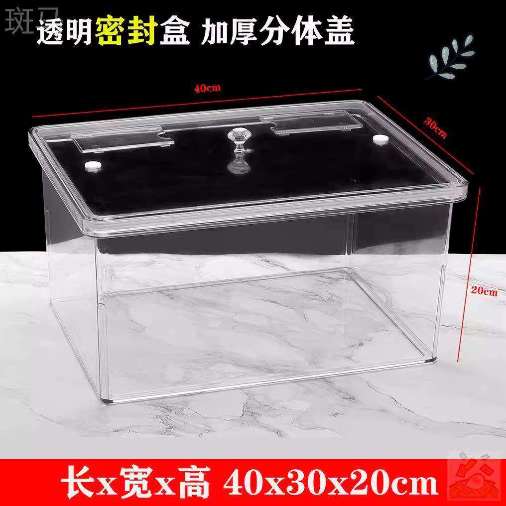 泡菠萝专用缸装卖盐水菠萝的罐子摆摊容器塑料超市货架陈列展示盒