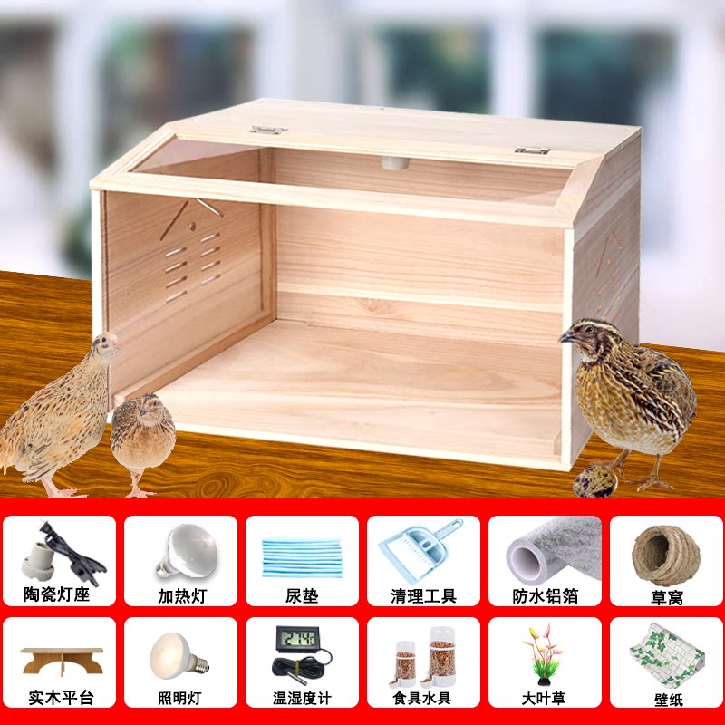 邦可臣芦丁鸡饲养箱全套观赏笼子养殖专用实木箱小鸡窝宠物育雏室