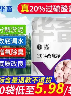 水产养殖专用二氧化硫泡腾片鱼塘虾蟹池塘消毒杀菌改底净水消毒剂