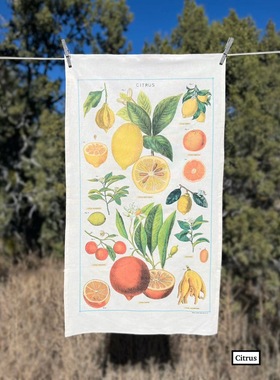 复古茶巾装饰画 美国品牌Cavallini野花柑橘植物蒲公英 挂布墙饰