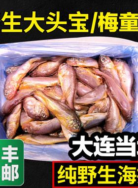 大头宝鱼梅童鱼大连本地冰鲜速冻大头宝鱼肉海鲜黄梅子花鱼2斤4斤
